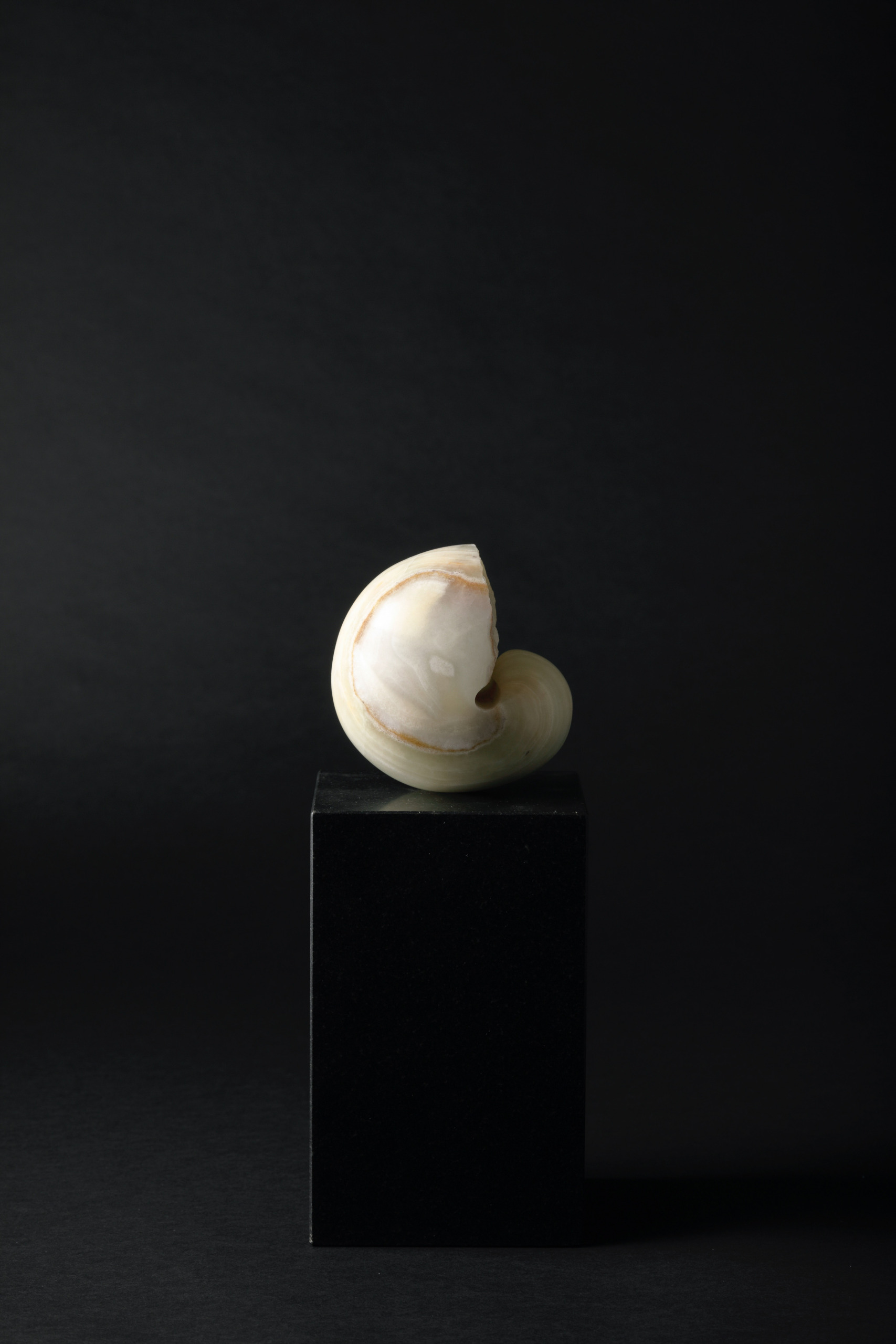 “Transmigration” Naturally