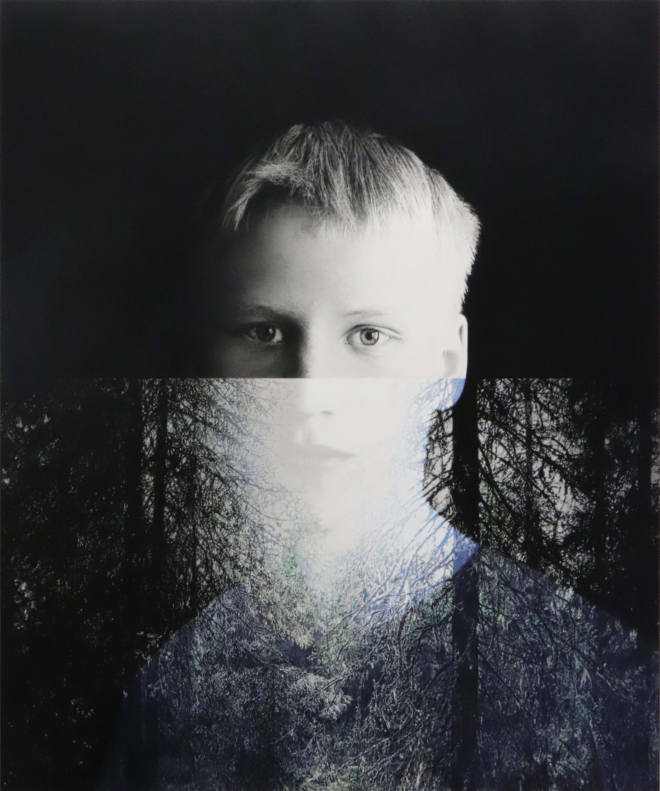 The light in the forest