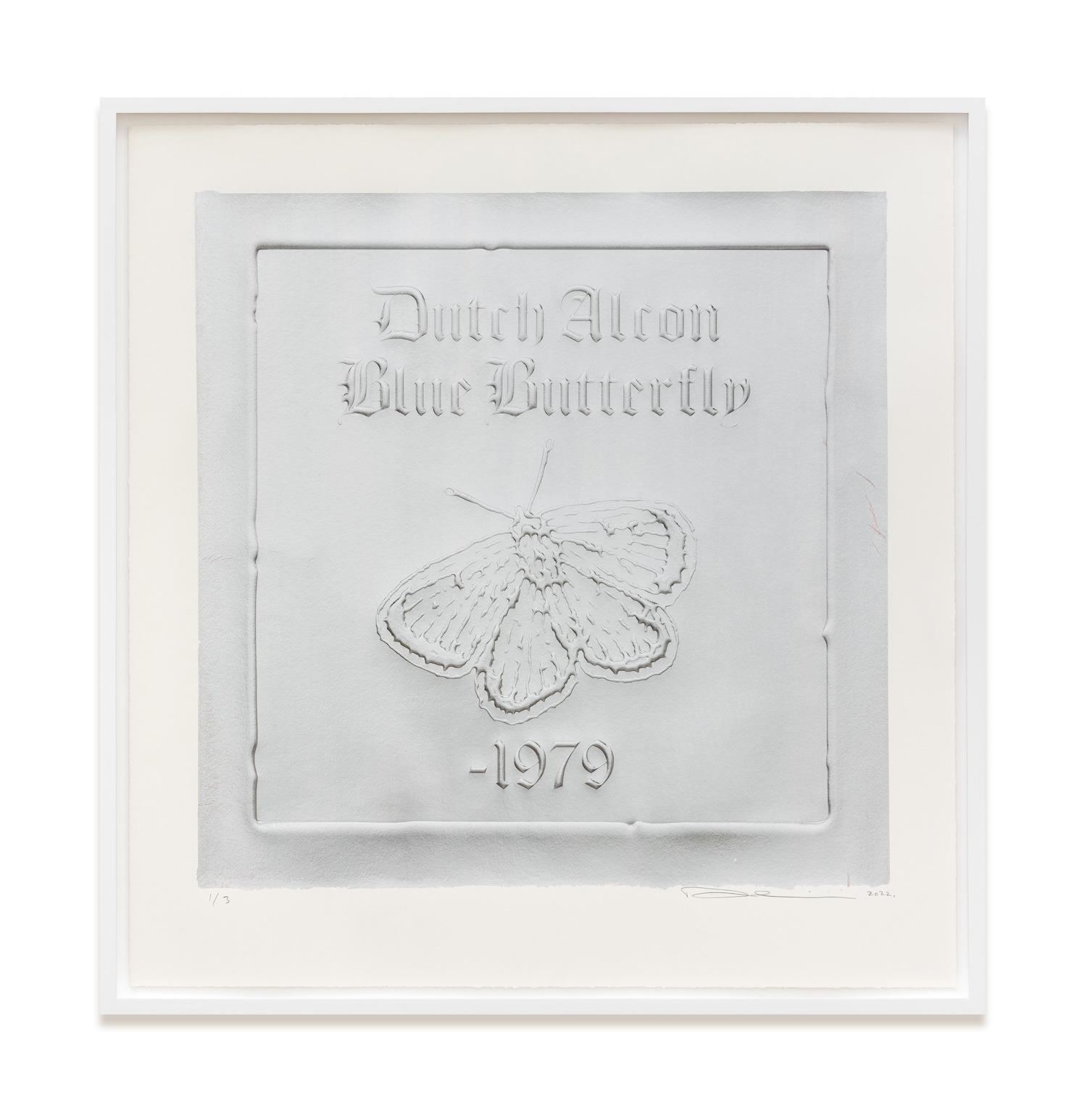 untitled 2020 (embossed nature morte: dutch alcon blue butterfly, phengaris alcon arenaria, 1979)