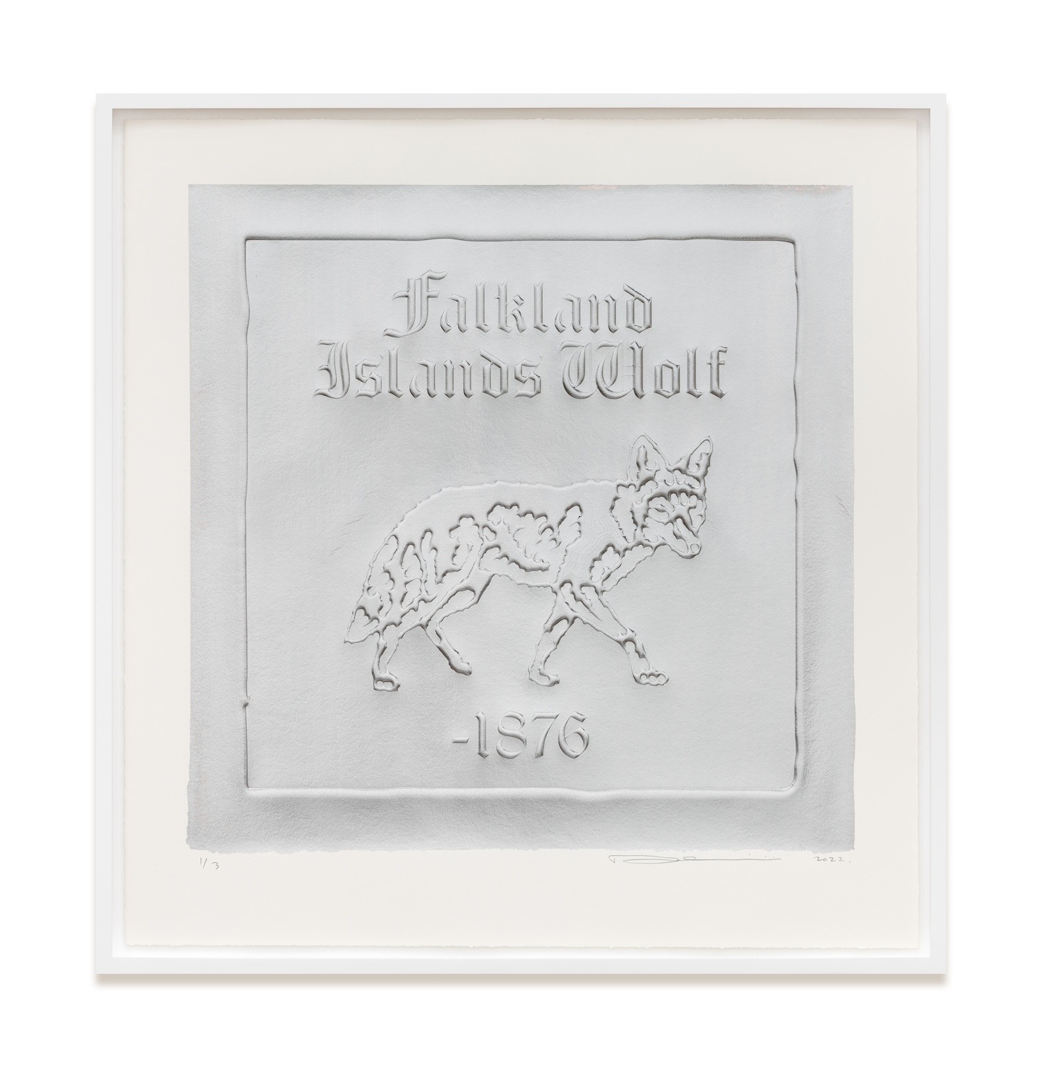 untitled 2020 (embossed nature morte: falkland islands wolf, dusicyon australis, 1876)